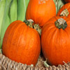 play Jigsaw: Pumpkins