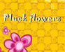play Pluckflowers