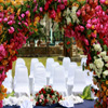 Jigsaw: Wedding Arch