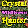 Crystal Hunter Wildflowers