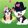 Cute Pet Wedding Dress Up