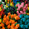 Jigsaw: Amsterdam Tulips