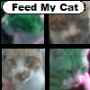 play Feed My Cat