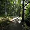 play Jigsaw: Country Path