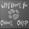 play Why Don'T You Collect Cats?