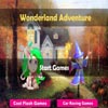 play Wonderland Adventure