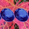 play Hidden Gemstones: Autumn Leaves