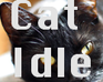 Cat Idle