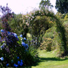 play Jigsaw: Rose Arch