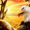 play Puzzles Eagles