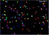 play Particle Dodge