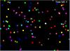play Particle Dodge