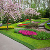 play Jigsaw: Garden In Blossom