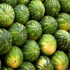 play Jigsaw: Watermelon