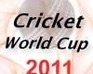 play Cricket Worldcup 2011