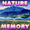 play Brain Memory: Nature