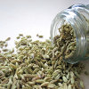 play Jigsaw: Fennel Seeds