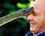play Snake Tamer