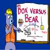 play Box Versus Bear