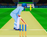 play Super Over