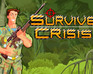 play Survive Crisis