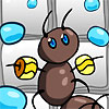 play Ant Ascent