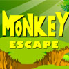 play Monkey Escape