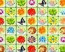 play Colorful Flowers Link