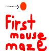 play First Mouse Maze