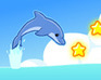 play Star Splash