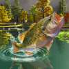 play Puzzles : Big Fish