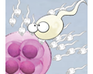 play Spermaroids