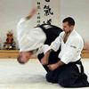 play Aikido Fight