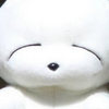 play The Crazy Rabbit