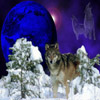 play Wolves Puzzles