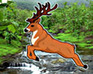 play Hidden Deer