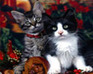 Hidden Animals-Kittens