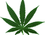 play The Weed Wheel