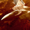 play F23 The Last Flight
