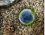 play Ants - Now With Even More Ants