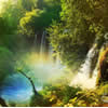 play Amazing Nature
