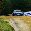 play Rally Championship 2010