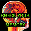 play Check Your Memory