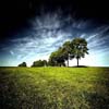 play Stunning Nature Puzzles