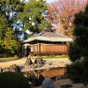 play Jigsaw: Japanese Cottage