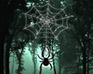 play Hidden Spider