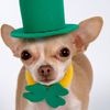 play St Patrick'S Day Jigsaw Puzzle