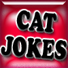 play Cat Joke Shooter