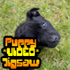 play Puppy Video Jigsaw