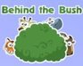 play Behind The Bush